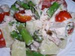 German Asparagus  Chicken Salad schwetzinger Spargelsalat Appetizer