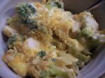French Chicken Broccoli Casserole 28 Appetizer