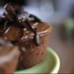 Australian Muffins Chocolate Brownie Dessert