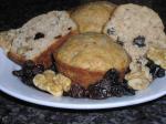 American Basic Muffins with Variation Options Dessert