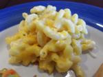American Homemade Baked Macaroni and Cheese 2 Dinner