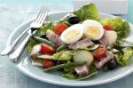 American Salad Nicoise Recipe 7 Appetizer