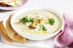 Indian Indian Spiced Cauliflower Soup Recipe 1 Appetizer