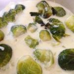 American Brussels Sprouts with Cheese Sauce Appetizer