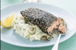 American Nori and Sesame Crusted Salmon On Parsley Mash Recipe Appetizer