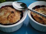 American Blueberry Cobblers for Two   Ww Points Dessert