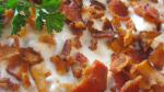 American Worlds Best Bacon Cheese Dip Recipe Appetizer
