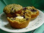 American Blueberry Oat Bran Muffins 2 Appetizer
