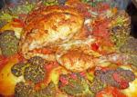 British Herbed Chicken and Veggies 1 Dinner