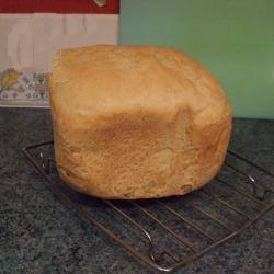 American Bread with  Ingredients Appetizer