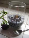 Canadian Frozen Blueberries Rice Milk and Honey Dessert