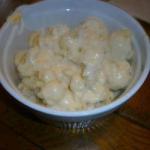 American Cauliflowers with Cheese Sauce Appetizer