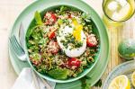 American Green Lentil And Quinoa Salad With Poached Eggs And Basil Pesto Recipe Appetizer