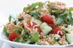 American Brown Rice And Tuna Salad Recipe 1 Appetizer