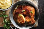 American Chicken Braised With Tomato and Fennel Recipe Appetizer