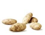 American Beginner Potato Skins Appetizer