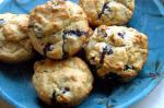 American Blueberry Muffins no Refined Sugar Dessert