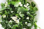 Canadian Mixed Pea Mint and Feta Salad Recipe Appetizer