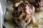 Canadian Roasted Poussins On Potato Slices Recipe Dinner