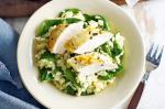 British Lemon And Spinach Risotto With Grilled Chicken Recipe Dinner
