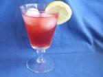 American Delightful Cranberry Lemonade Appetizer