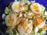 American Moms Best Potato Salad 1 Appetizer