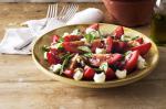 Italian Bocconcini Tomato And Basil Salad Recipe Appetizer