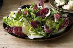 Italian Fennel And Radicchio Salad Recipe Drink