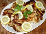 French Chicken Francese 6 Appetizer