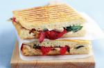 Turkish Capsicum Ricotta And Chicken Sandwiches Recipe Appetizer