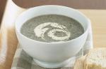 Turkish Cream Of Mushroom Soup Recipe 27 Appetizer
