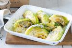 British Miniature Cabbage With Mustard and Dill Sauce Recipe Appetizer