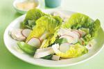 Poached Chicken Cos Snow Pea And Radish Salad Recipe recipe