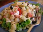 American Greek Pasta Shells Salad Dinner