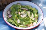 American Cucumber And Radish Salad With Mustard Dressing Recipe Appetizer