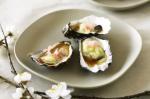 American Oysters With Wasabi Granita and Pickled Ginger Recipe Dinner