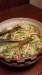 American Kittencals Marinated Oil and Vinegar Coleslaw Appetizer