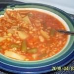 Dutch Quick and Easy Vegetable Soup Recipe Appetizer