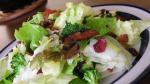 Dutch Wilted Lettuce Salad Recipe Appetizer