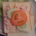 American Apple Tuna Sandwich Appetizer