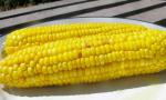 American Perfect Corn on the Cob Appetizer