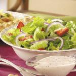 American Strawberry Onion and Romaine Salad Appetizer