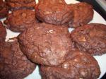American Chewy Brownie Cookies 9 Dessert