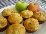 Dutch Grandmas Apple Muffins 1 Dessert
