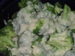 Dutch Broccoli Dijon 3 Appetizer