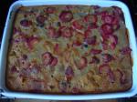 American Polenta Bake With Plums and Berries glutenfree Dessert