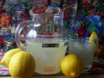 American Oldfashioned Fresh Lemonade Appetizer