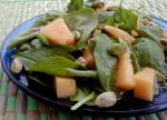 American Cantaloupe Spinach Salad Appetizer