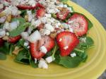 American Strawberry  Bleu Cheese Salad Appetizer