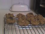 American Healthy but Tasty Chocolate Chip Oatmeal Cookies Dessert